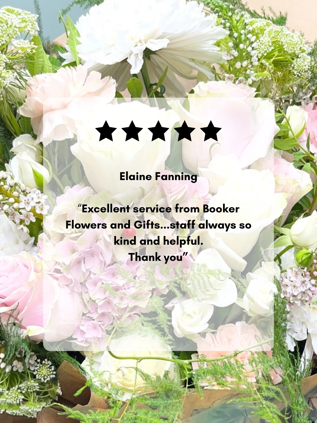 Elaine Fanning New Baby Google Review