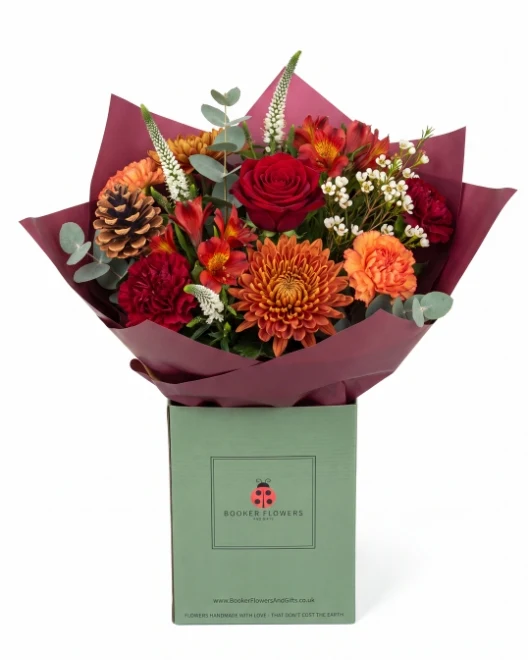 Orange Glow Festive Flower Delivery