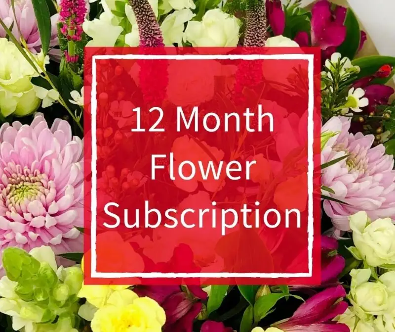12 Month Flower Subscription Luxury 12 Month Flower Subscription Luxury