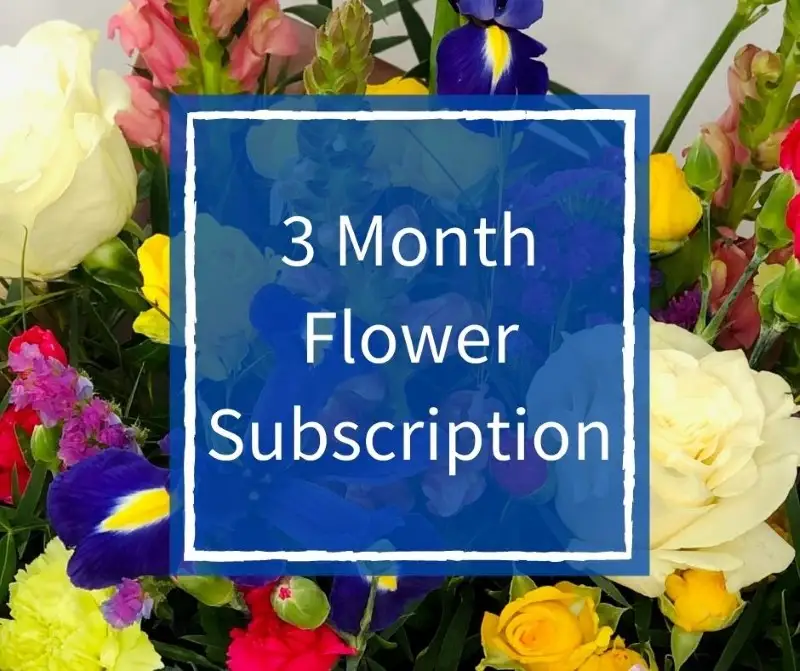 3 Month Flower Subscription Standard 3 Month Flower Subscription Standard