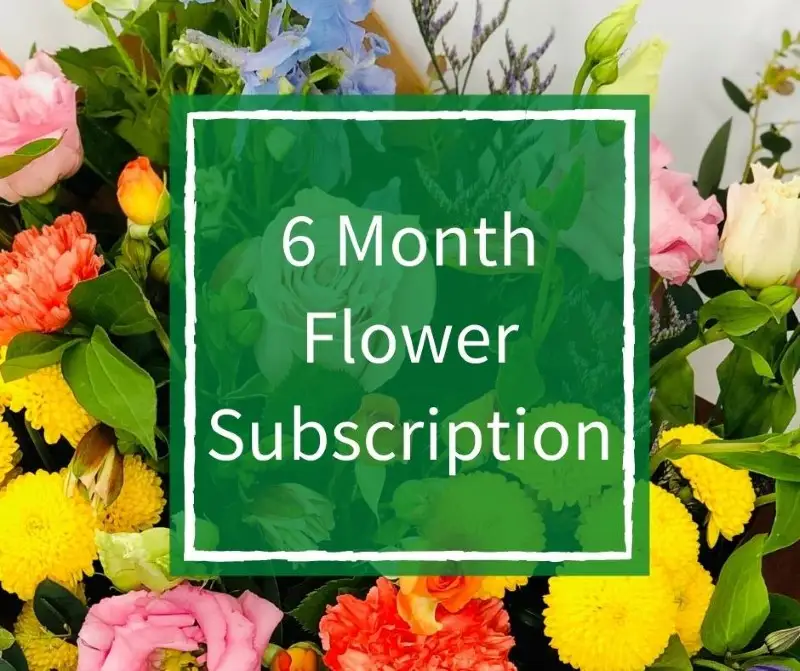 6 Month Flower Subscription Deluxe 6 Month Flower Subscription Deluxe