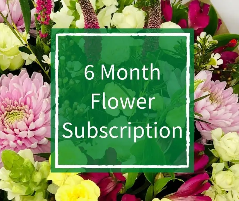 6 Month Flower Subscription Luxury 6 Month Flower Subscription Luxury