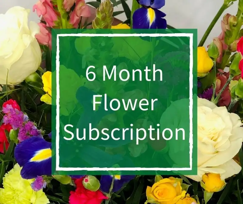 6 Month Flower Subscription Standard 6 Month Flower Subscription Standard