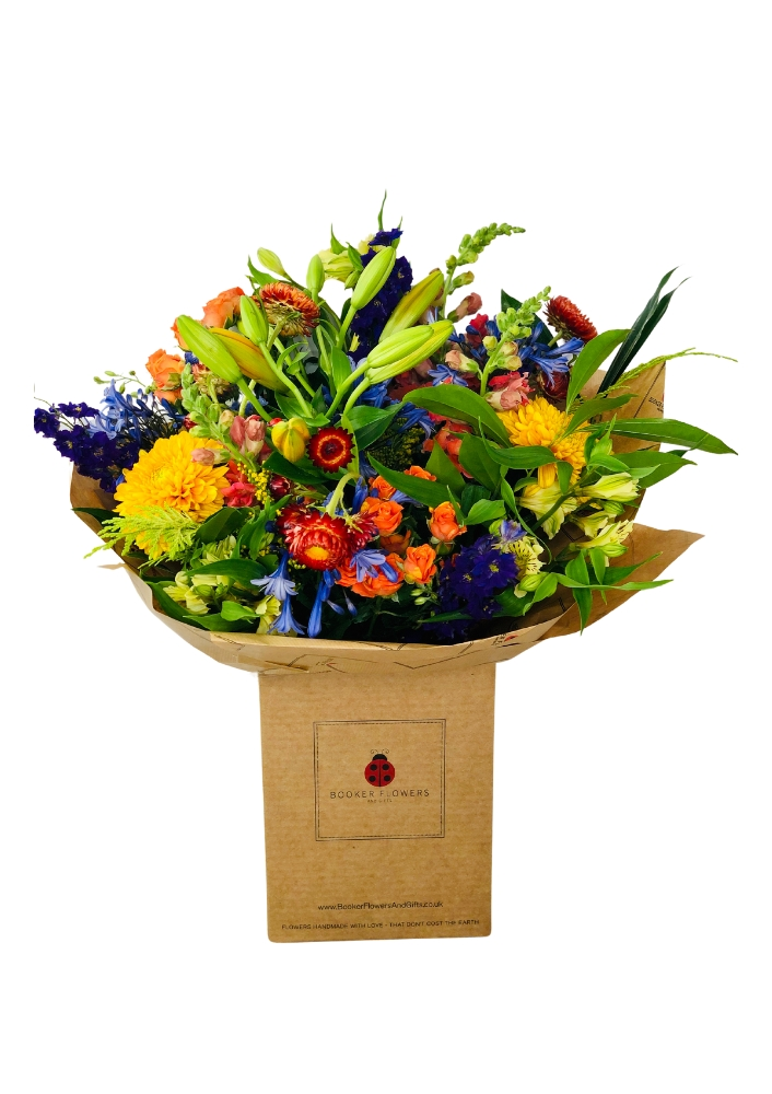 Autumn Jewels Orange and Blue Flowers Autumn Jewels Orange and Blue Flowers