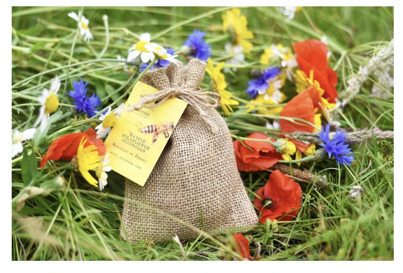 Beebombs Wild Flower Seedballs - Bring The Bees Back Beebombs Wild Flower Seedballs - Bring The Bees Back