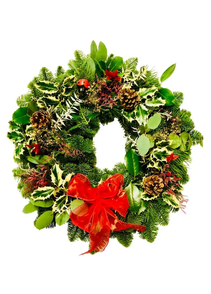 Booker Ladybird Luxury Christmas Door Wreath - Large Booker Ladybird Luxury Christmas Door Wreath - Large