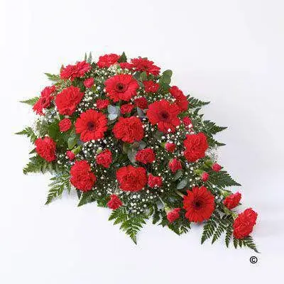 Carnation and Germini Teardrop Spray - Red Extra Large