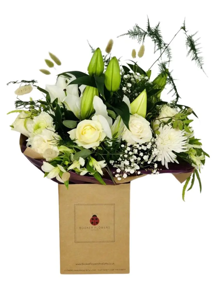 Champagne Celebration Hand Tied Extra Large Champagne Celebration Hand Tied Extra Large