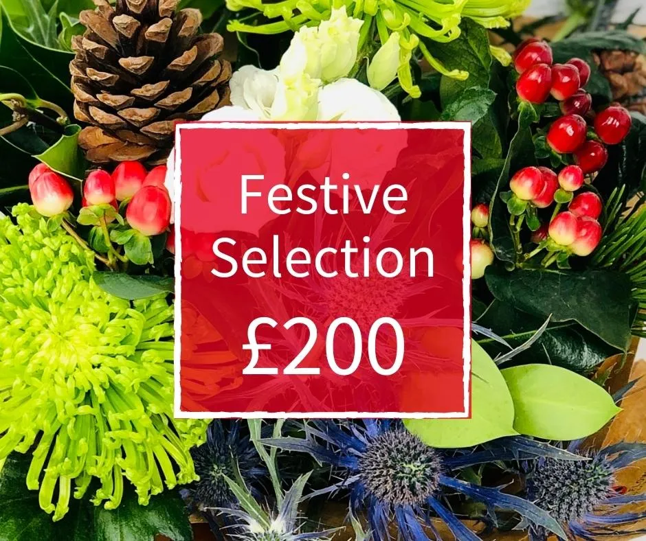Christmas Florist Choice 200 - Seasonal Handtied Bouquet