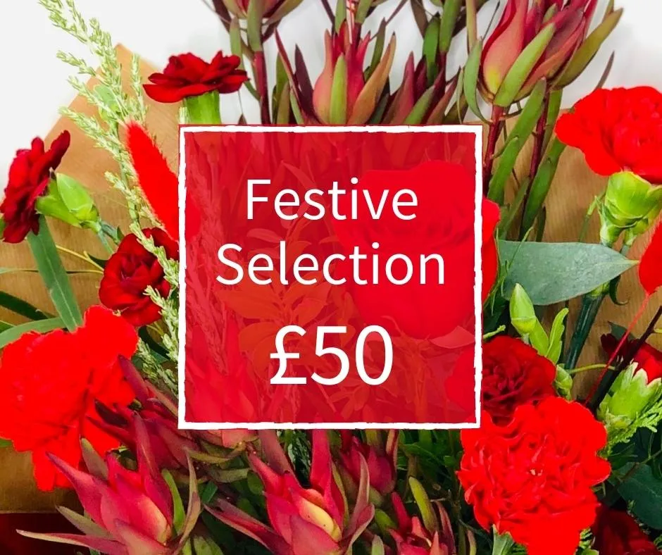 Christmas Florist Choice 50 - Seasonal Handtied Bouquet