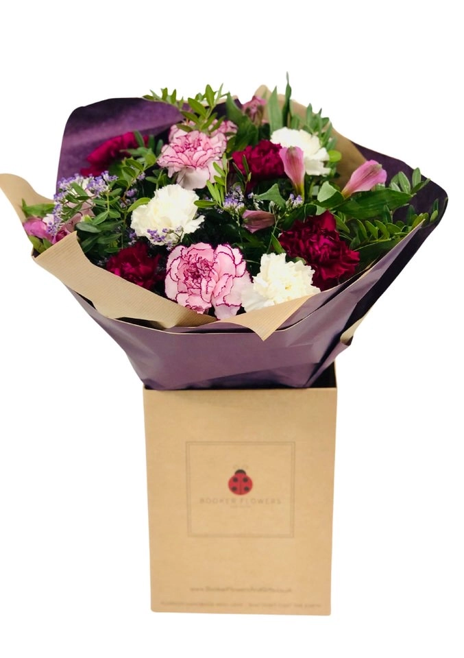 Classic Carnation January Birthday Flowers Classic Carnation January Birthday Flowers