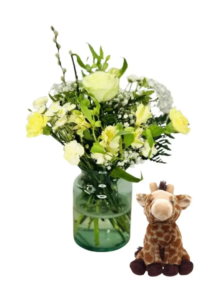 Cute As A Button New Baby Vase And Giraffe