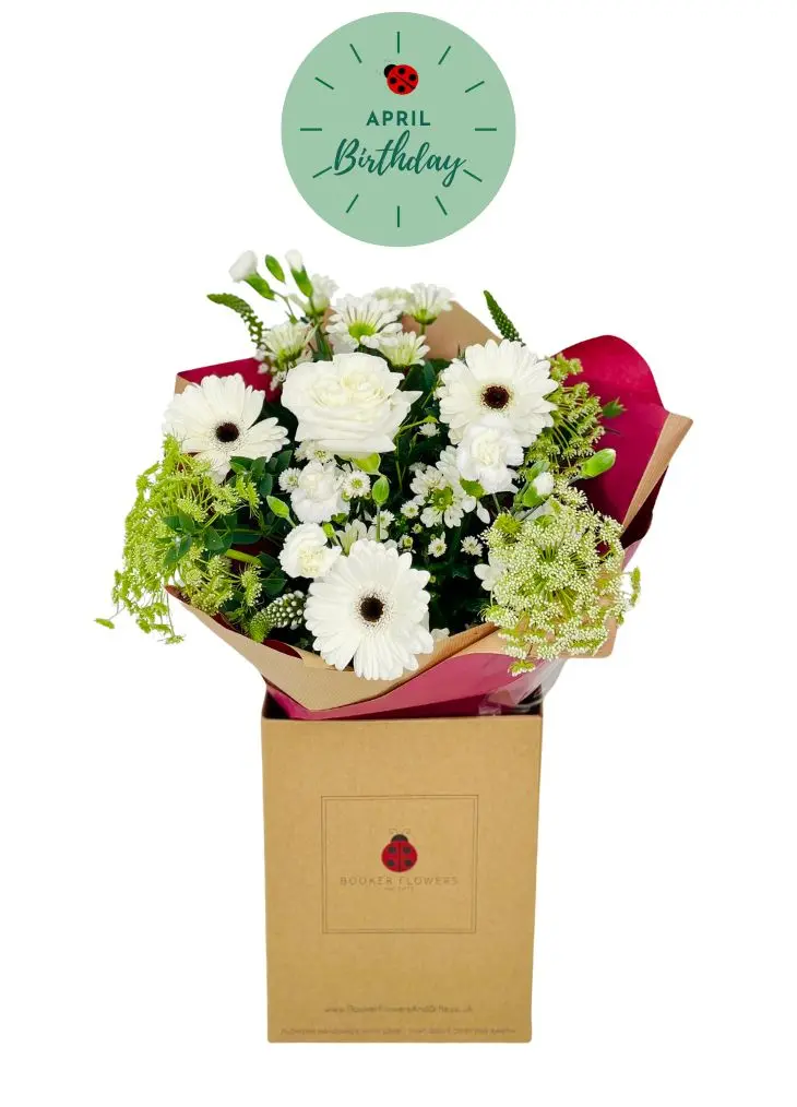 Delightful Daisy April Birthday Flowers