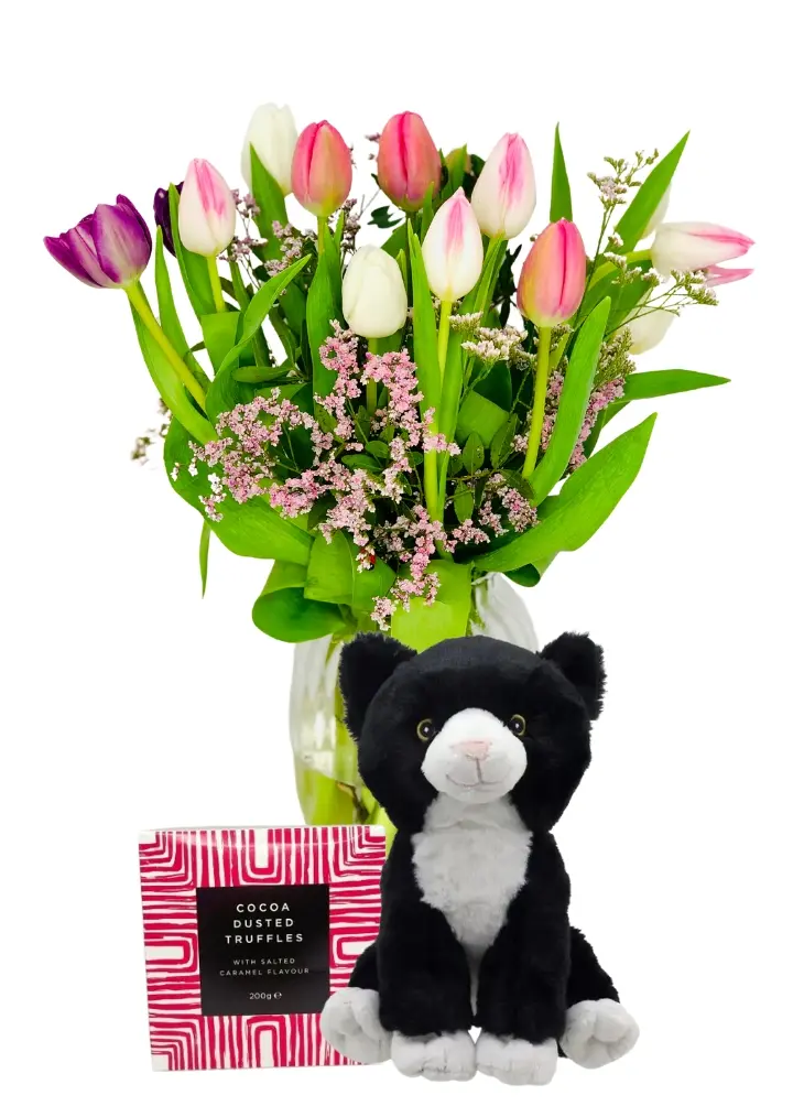Happy Mothers Day Love From The Cat Happy Mothers Day Love From The Cat