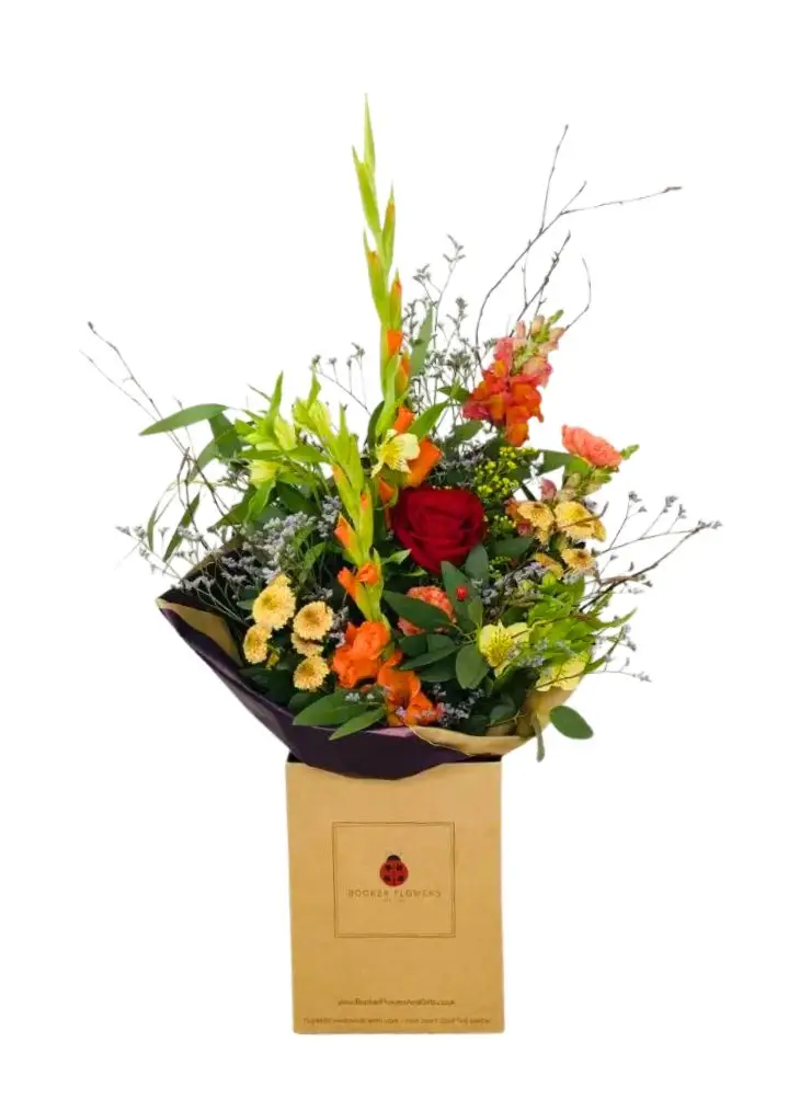 Indian Summer Autumn Flowers Indian Summer Autumn Flowers