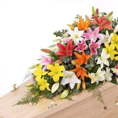 Lily Casket Spray - Mixed Colours Extra Large Lily Casket Spray - Mixed Colours Extra Large