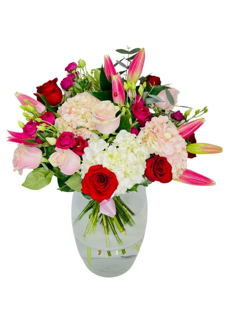 Luxury Valentines Flowers in Vase Delivery Luxury Valentines Flowers in Vase Delivery