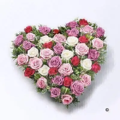 Mixed Rose Heart - Pink Red and White Mixed Rose Heart - Pink Red and White