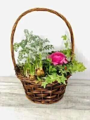 Mothers Day Basket of Flowers