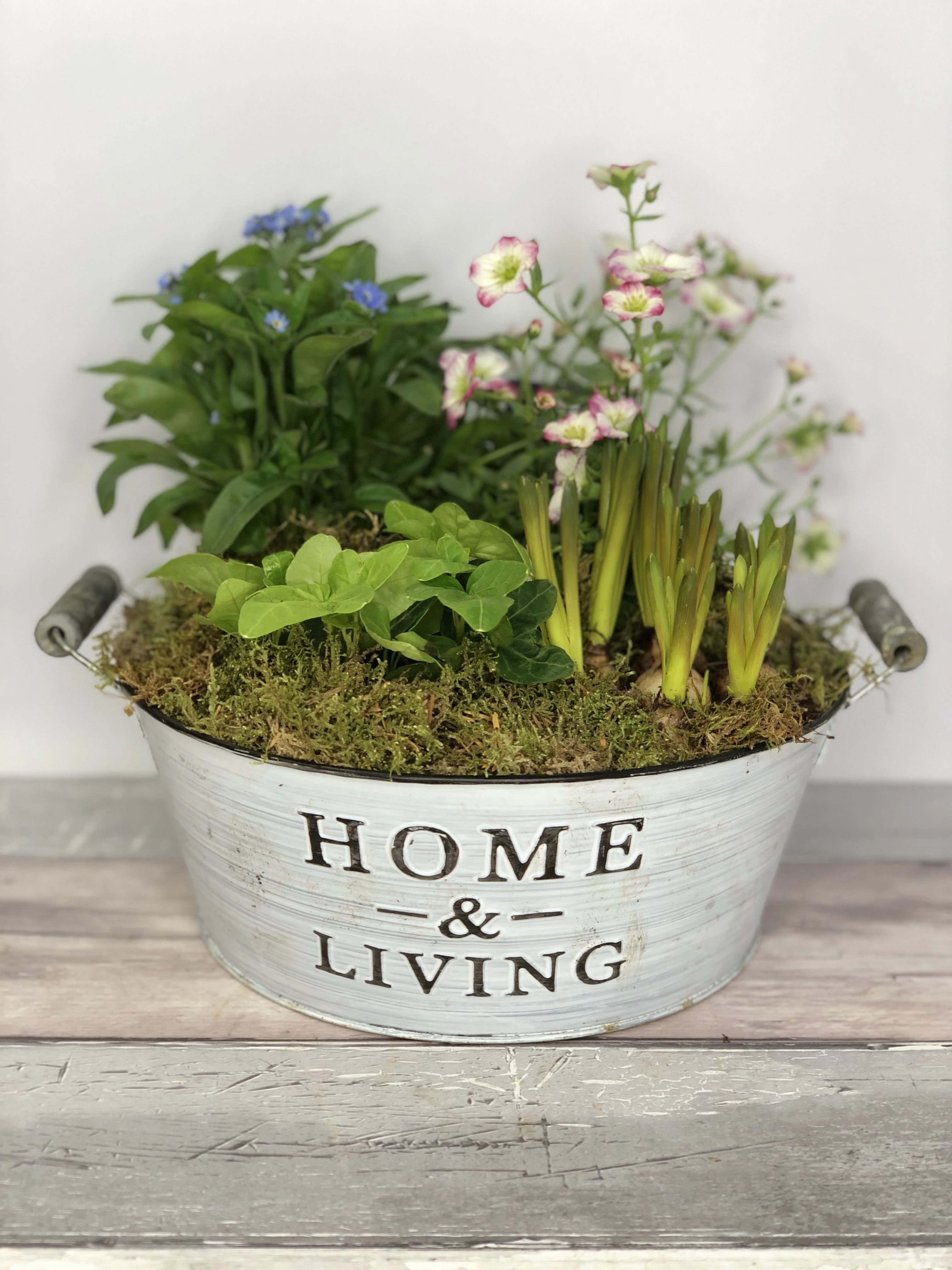 Mothers Day Planted Tin Arrangement Mothers Day Planted Tin Arrangement