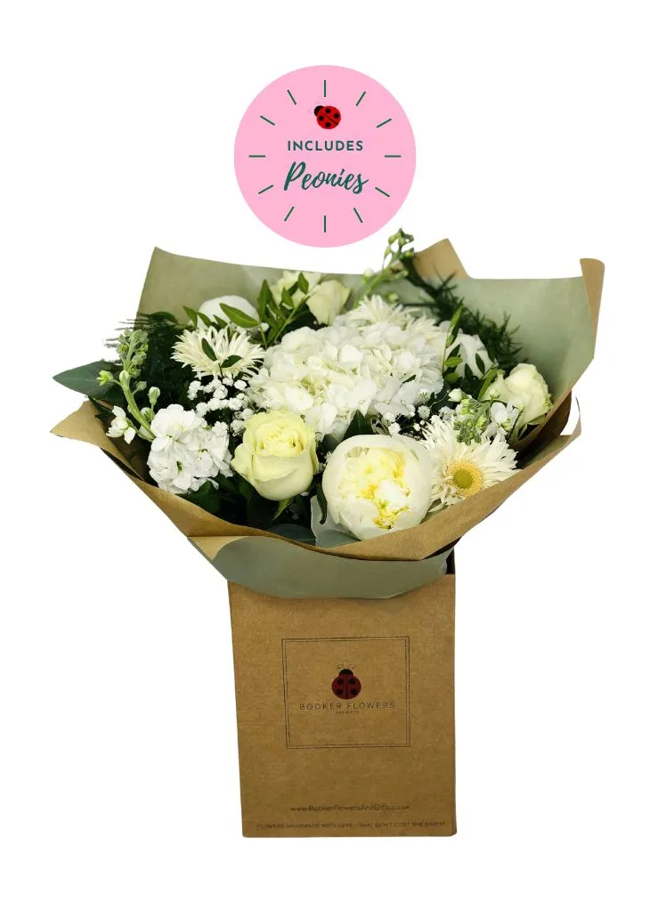 Peony White Russian Summer Flowers In Water