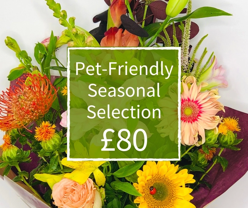 Pet Friendly Florist Choice 80 Handtied Bouquet