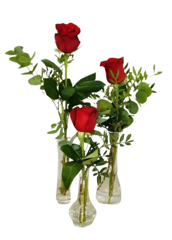 Red Rose Trio in Vases Red Rose Trio in Vases