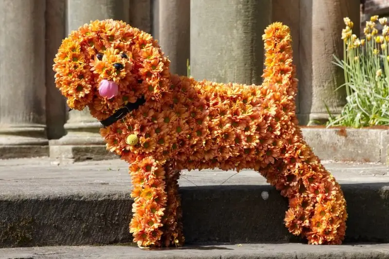 Standing Dog Funeral Tribute Standing Dog Funeral Tribute
