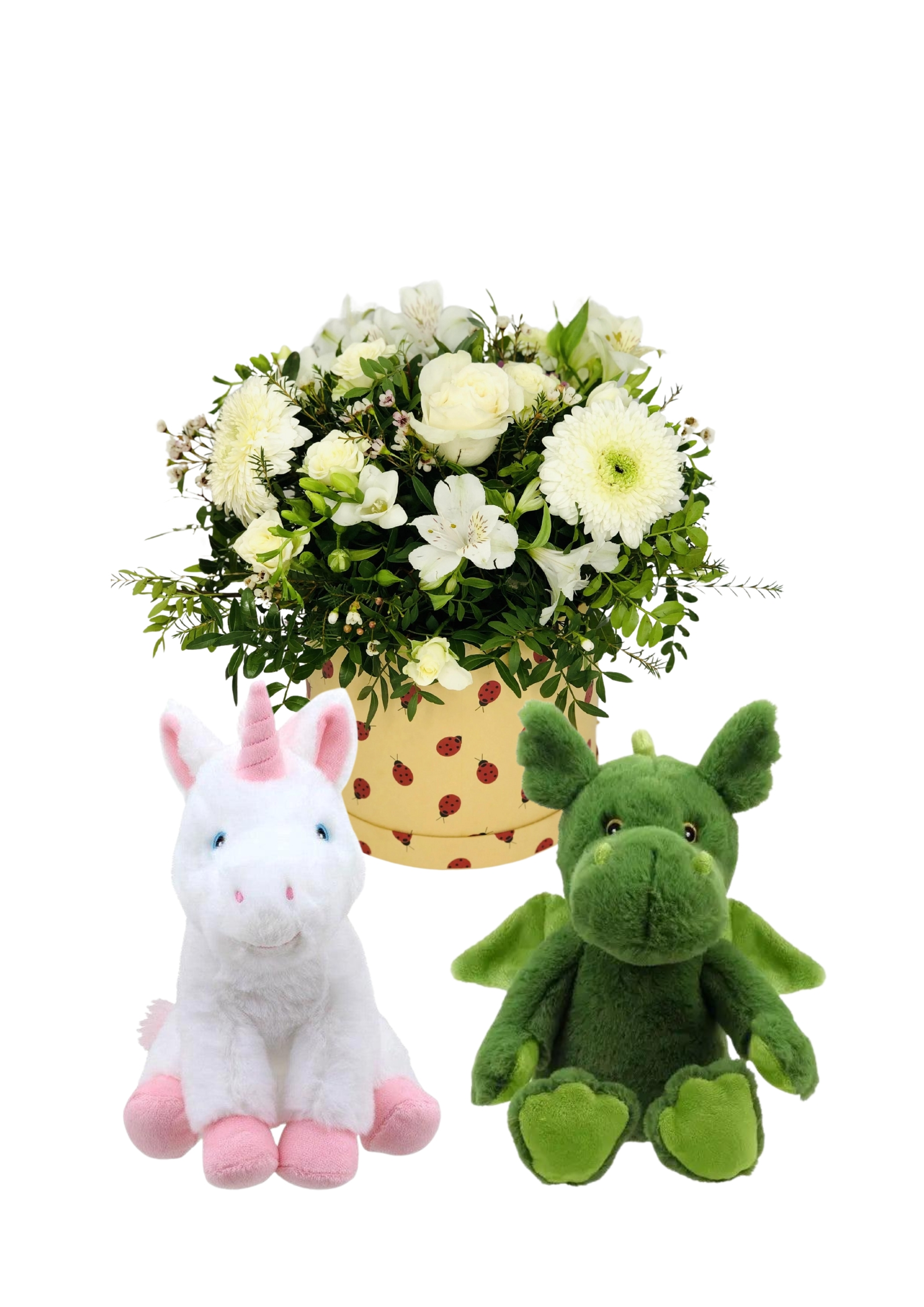 Twin baby gift set