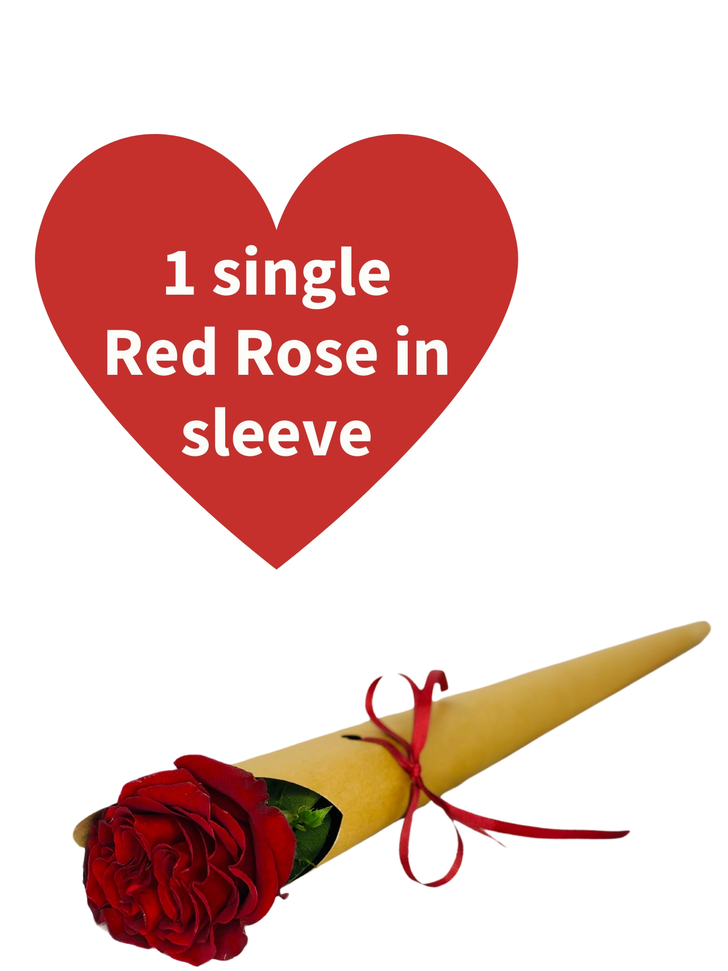 Valentines Single Red Rose Valentines Single Red Rose